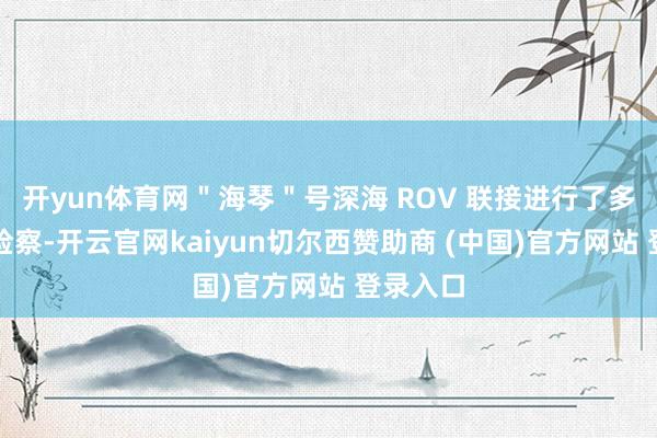 开yun体育网"海琴"号深海 ROV 联接进行了多个潜次检察-开云官网kaiyun切尔西赞助商 (中国)官方网站 登录入口