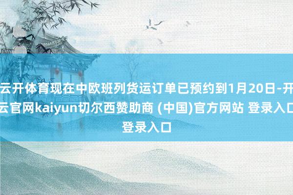 云开体育现在中欧班列货运订单已预约到1月20日-开云官网kaiyun切尔西赞助商 (中国)官方网站 登录入口
