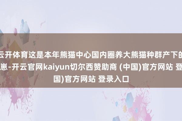 云开体育这是本年熊猫中心国内圈养大熊猫种群产下的首只幼崽-开云官网kaiyun切尔西赞助商 (中国)官方网站 登录入口