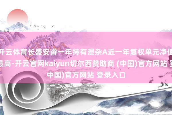 开云体育长盛安睿一年持有混杂A近一年复权单元净值增长率最高-开云官网kaiyun切尔西赞助商 (中国)官方网站 登录入口